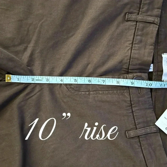 NWT LILA RYAN Straight Leg Pants, Brown Size 14 Stitch Fix, Office, Stretch - Picture 11 of 12